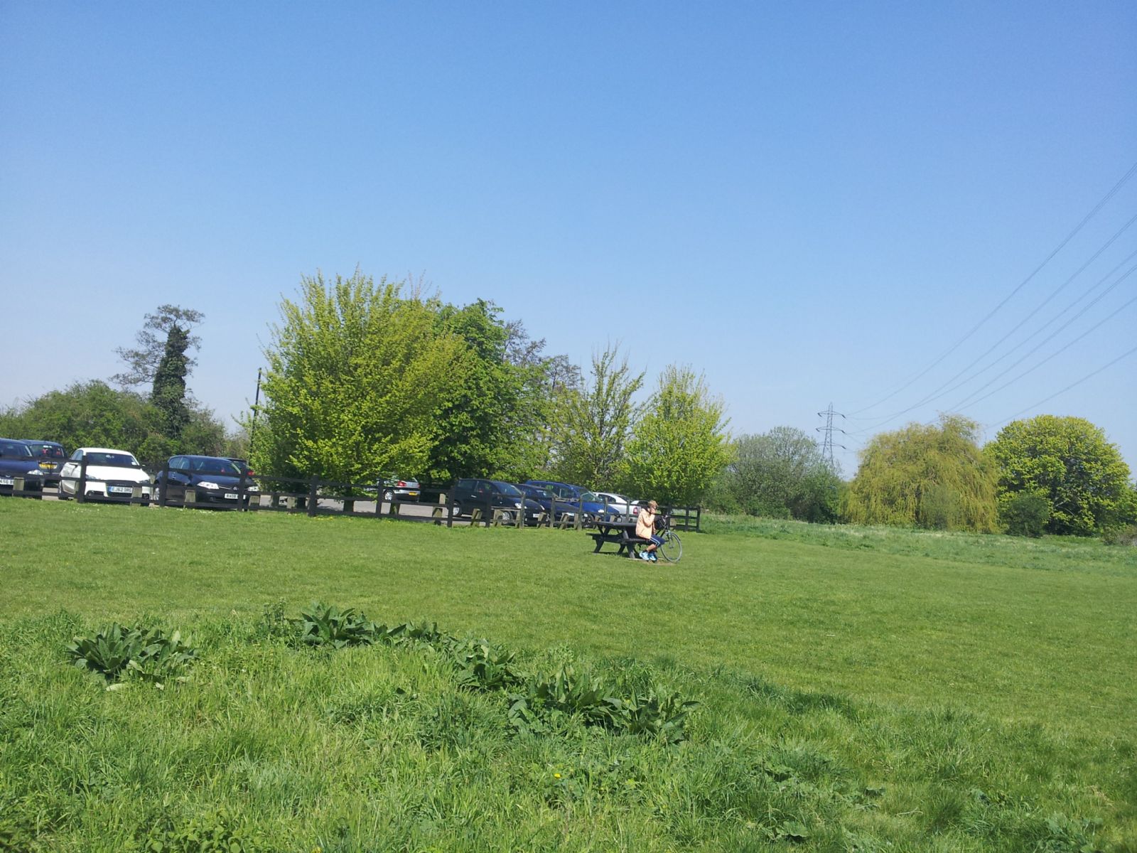 Walthamstow Marshes